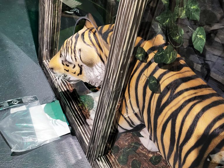 Tiger-Statue bauen bei Boda Borg